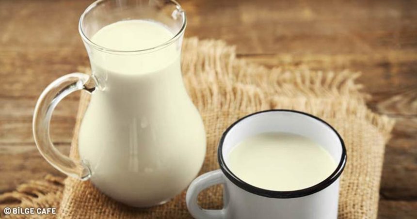 sütün faydaları